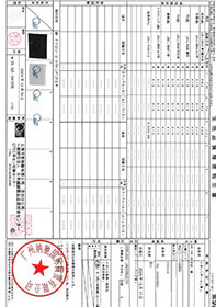 Inspection and test report 1