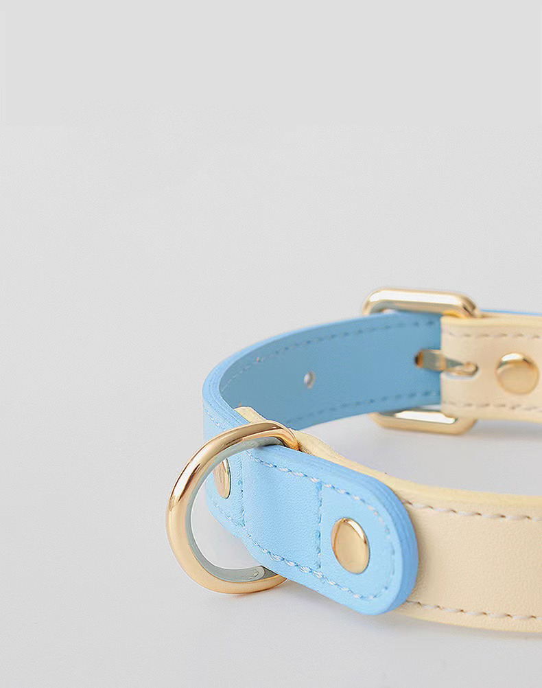 Top 10 Most Popular Chinese Anti-pull Pet Belt Leash Brands